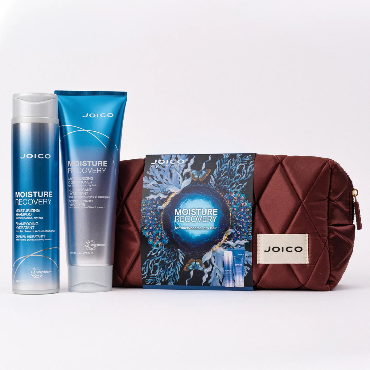 Joico Moisture Recovery Haircare Gift Set